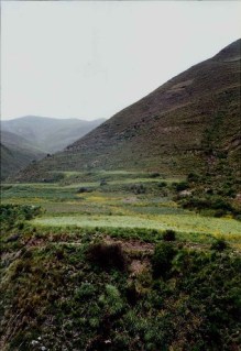 bolivia_004